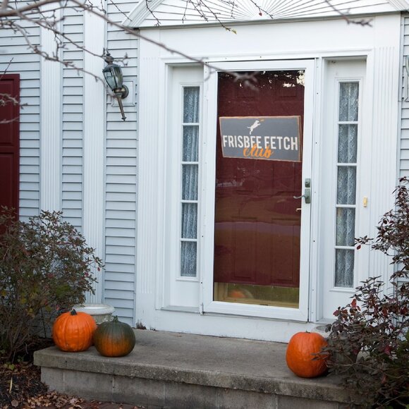 NEW Seven Anchor Designs XL 10x20” Frisbee Fetch Club Wooden Painted Wall Art - Picture 3 of 3